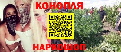 таблы Ставрополь