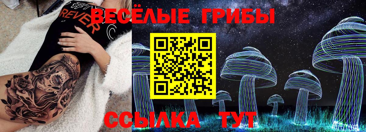магазин  наркотиков  Вход с VPN  Новозыбков  Псилоцибиновые грибы Cubensis  Псилоцибиновые грибы MAGIC MUSHROOMS 