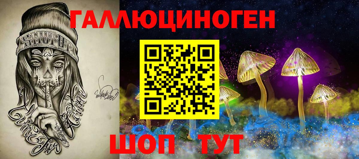 Псилоцибиновые грибы мицелий Новозыбков