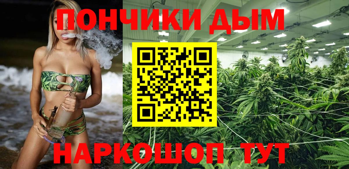 МАРИХУАНА план  Вход с VPN  МАРИХУАНА Ganja  Бошки марихуана SATIVA & INDICA  Шишки марихуана OG Kush  Новозыбков 